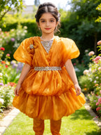 Moonlight Butterfly Sheesha Silk – Luxury Shiny Finish | Elegant Party Wear & Formal Style